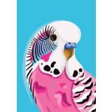 Card - Pink Budgie by Emma Whitelaw