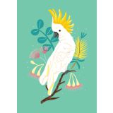 Card - Cockatoo by Emma Whitelaw