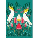Card - Cockatoo & Native Floral by Emma Whitelaw