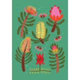 Card - Native Flowers by Emma Whitelaw