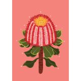 Card - Red Banksia by Emma Whitelaw