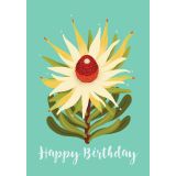Card - Happy Birthday Leucadendron by Emma Whitelaw