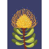 Card - Native Pincushion Protea by Emma Whitelaw