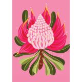 Card - Pink Protea by Emma Whitelaw
