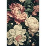 Card -  Peonies by Studio Nuovo