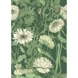 Card - Green Daisies by Studio Nuovo