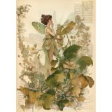 Card - Fairy in a Garden by Studio Nuovo