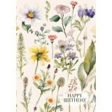 Card - Happy Birthday Daisies by Studio Nuovo