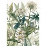 Card - Neutral Botanics by Studio Nuovo
