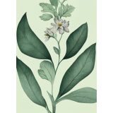 Card - Green Leaves & White Flower by Studio Nuovo