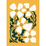 Card - Yellow & White Daisies by Studio Nuovo