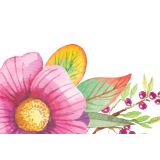 Card - Floral Bird Range - 100mm x 150mm