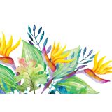 Card - Floral Bird Range - 100mm x 150mm