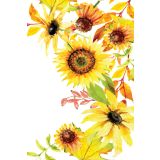 Card - Floral Bird Range - 100mm x 150mm