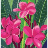 Card - Pink Flowers by Daniela Glassop