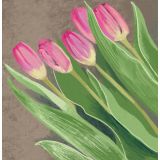 Card - Pink Tulips by Daniela Glassop