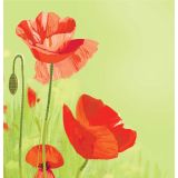 Card - Red Poppies by Daniela Glassop