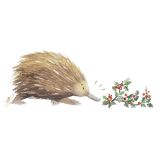 Card - Echidna Looking at Mistletoe by Giulianna del Popolo