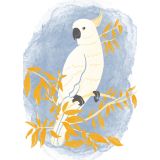 Card - Cockatoo by Studio Geneva