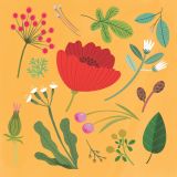 Card - Gold Florals by Cat MacInnes