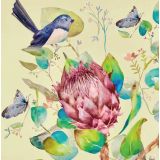 Card - Waratah & Blue Birds by Shaney Hyde
