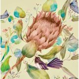 Card - Waratah, Butterflies & Purple Birds by Shaney Hyde