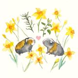 Card -  Guinea Pigs & Daffodils by Shaney Hyde