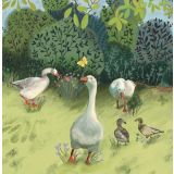 Card - Geese by Shaney Hyde