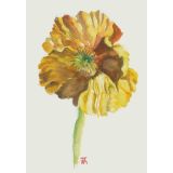 Card - Yellow Poppy by Joanne Ting Mahon