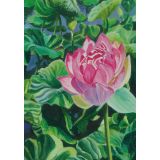 Card - Water Lily by Joanne Ting Mahon