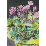 Card - Cyclamen by Joanne Ting Mahon