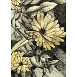 Card - Yellow Flowers by Kylie Sirett