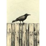 Card - Crow by Kylie Sirett