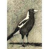 Card - Magpie by Kylie Sirett