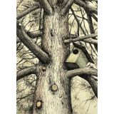 Card - Tree by Kylie Sirett