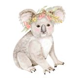 Card - Koala by Sailah Lane