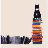 Card - Black &  Cat on a Pile of Books by Alissa Levy
