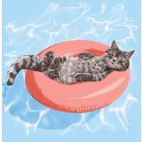 Card - Cat in an Inflatable Pool Ring by Alissa Levy
