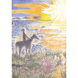 Card - Sunset by Lucy Gouldthorpe