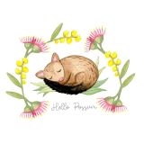 Card - Hello Possum by Maxine Hamilton