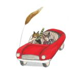Card - Cruising In A Red Convertible by Michelle Pleasance