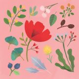 Card - S Pink Florals by Cat MacInnes
