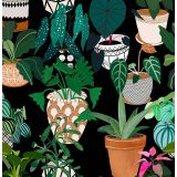 Card - Pots & Plants by Robyn Hammond