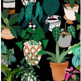 Card - S Pots & Plants by Robyn Hammond