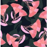 Card - S Pink Eucalyptus by Robyn Hammond