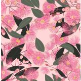 Card - S Pink Gum by Robyn Hammond