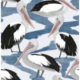 Card - Pelicans by Robyn Hammond
