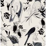 Card - Monochrome Flora & Fauna by Robyn Hammond