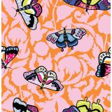 Card - Butterflies S by Robyn Hammond