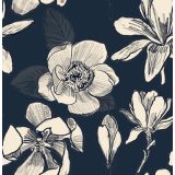 Card - White Magnolias On Navy S by Robyn Hammond
